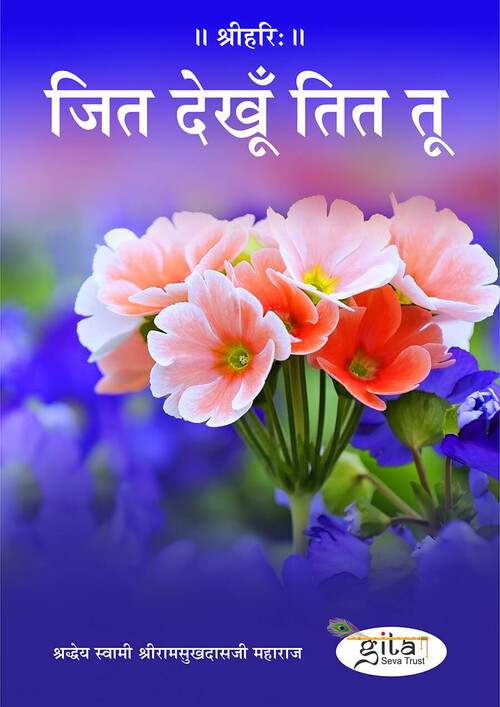 जित देखूँ तित तू