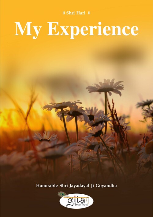 My Experience