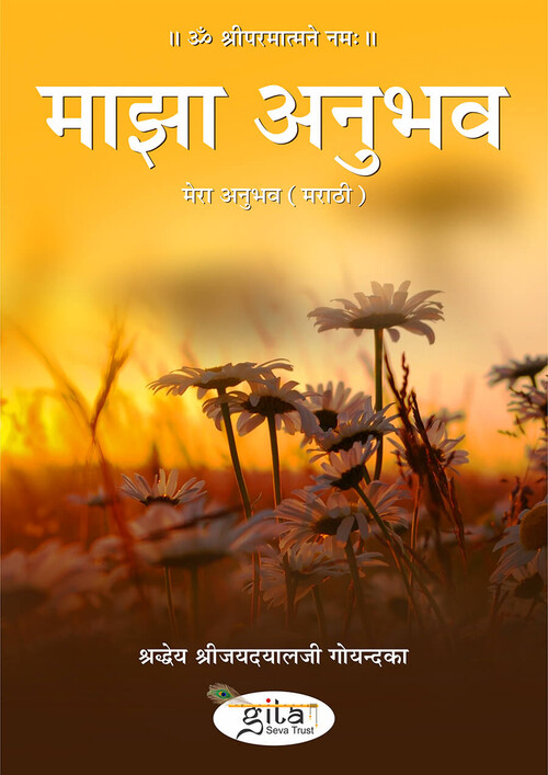 मेरा अनुभव (मराठी)