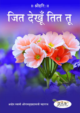 जित देखूँ तित तू
