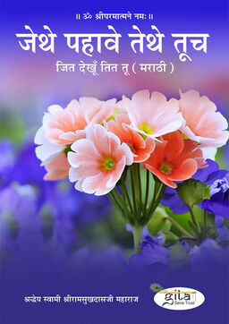 जित देखूँ तित तू (मराठी)