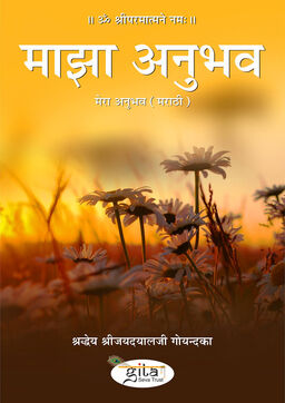 मेरा अनुभव (मराठी)
